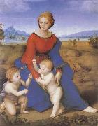 RAFFAELLO Sanzio The virgin mary  on the grass china oil painting artist